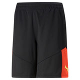 Puma individualfinal football training shorts men in blue - Front View