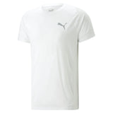 Puma evostripe tee in gray - Front View