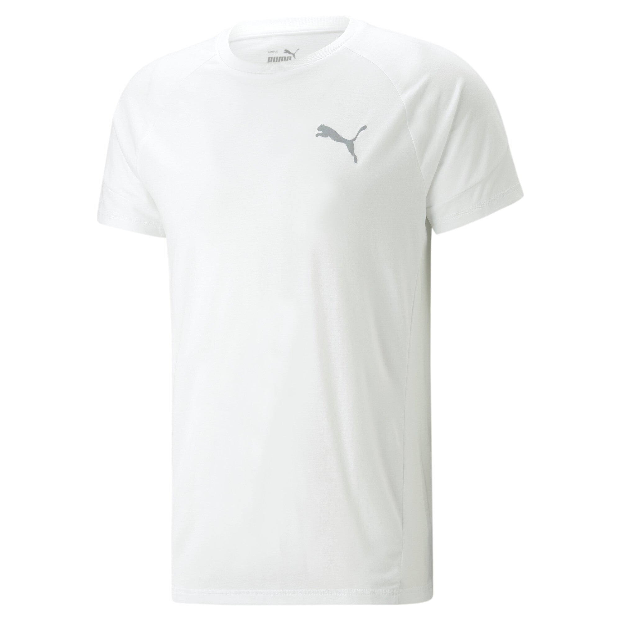 Puma evostripe tee in gray - Front View