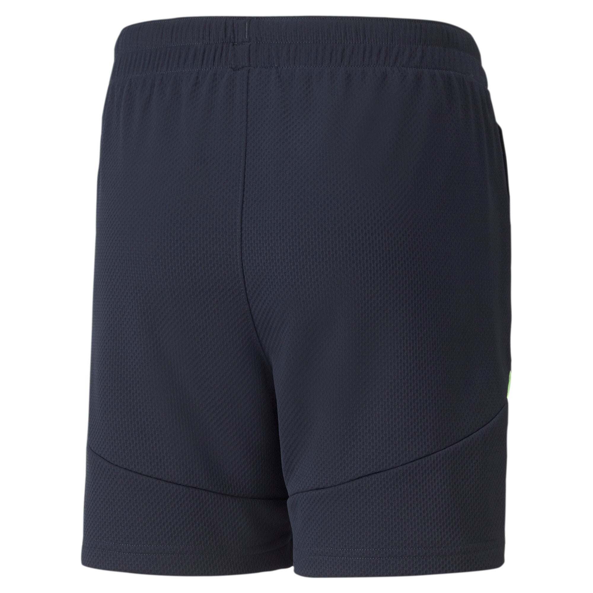 Puma individualfinal football training shorts youth in blue - Back View