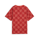 Puma ESS graphic relaxed tee in red fire - Back View