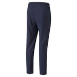 Puma football teamliga sideline pants in black - Back View