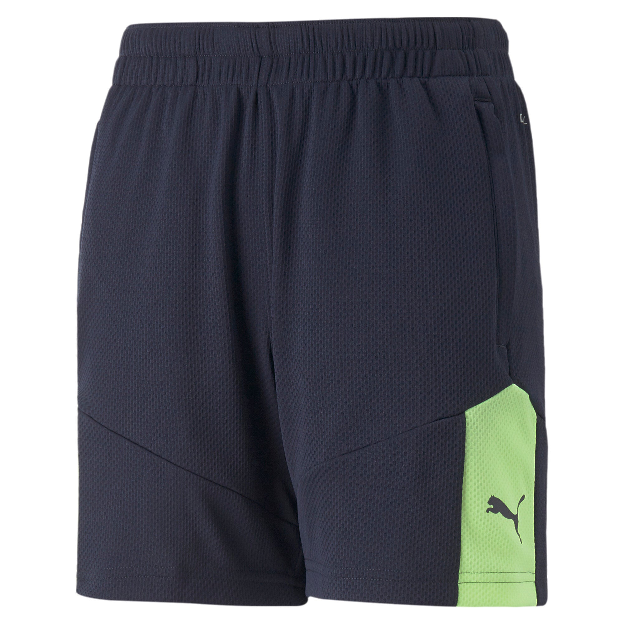 Puma individualfinal football training shorts youth in blue - Front View
