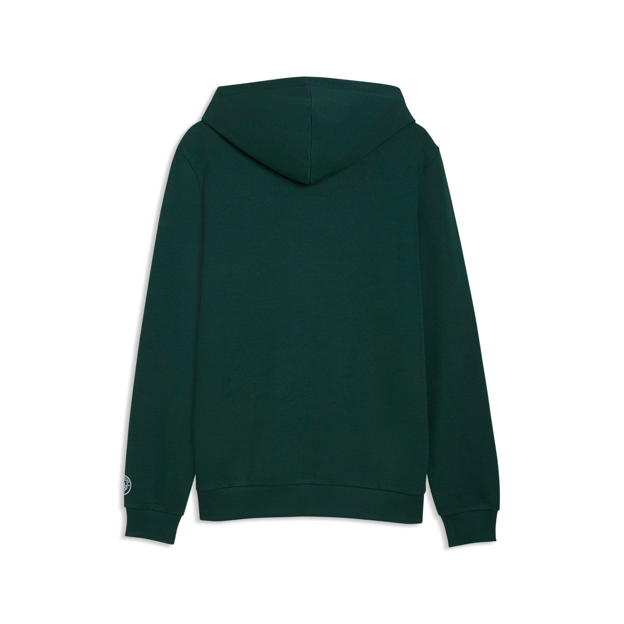 PUMA manchester city ftblculture hoodie men in green and blue — back view