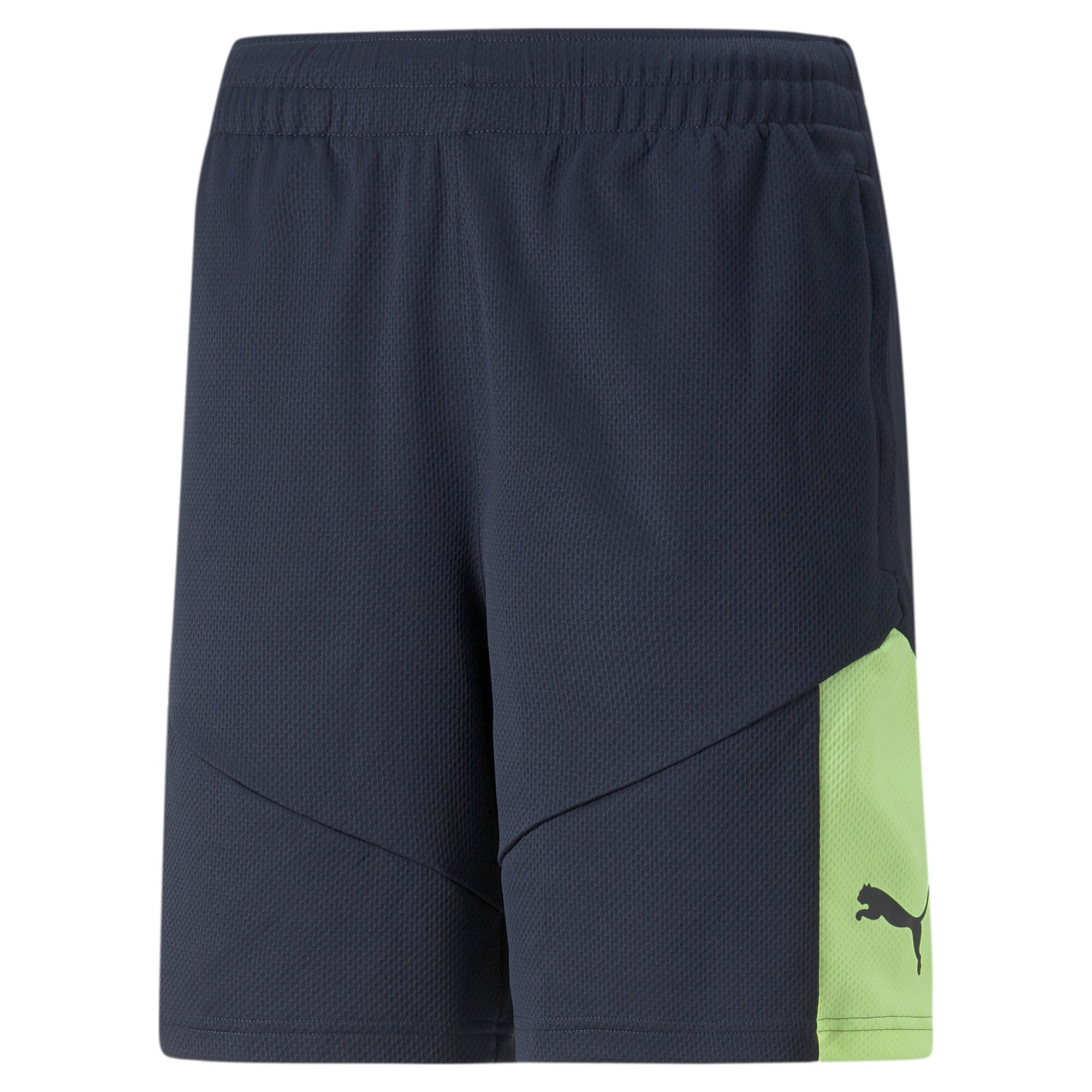 Puma football individualfinal shorts in blue - Front View