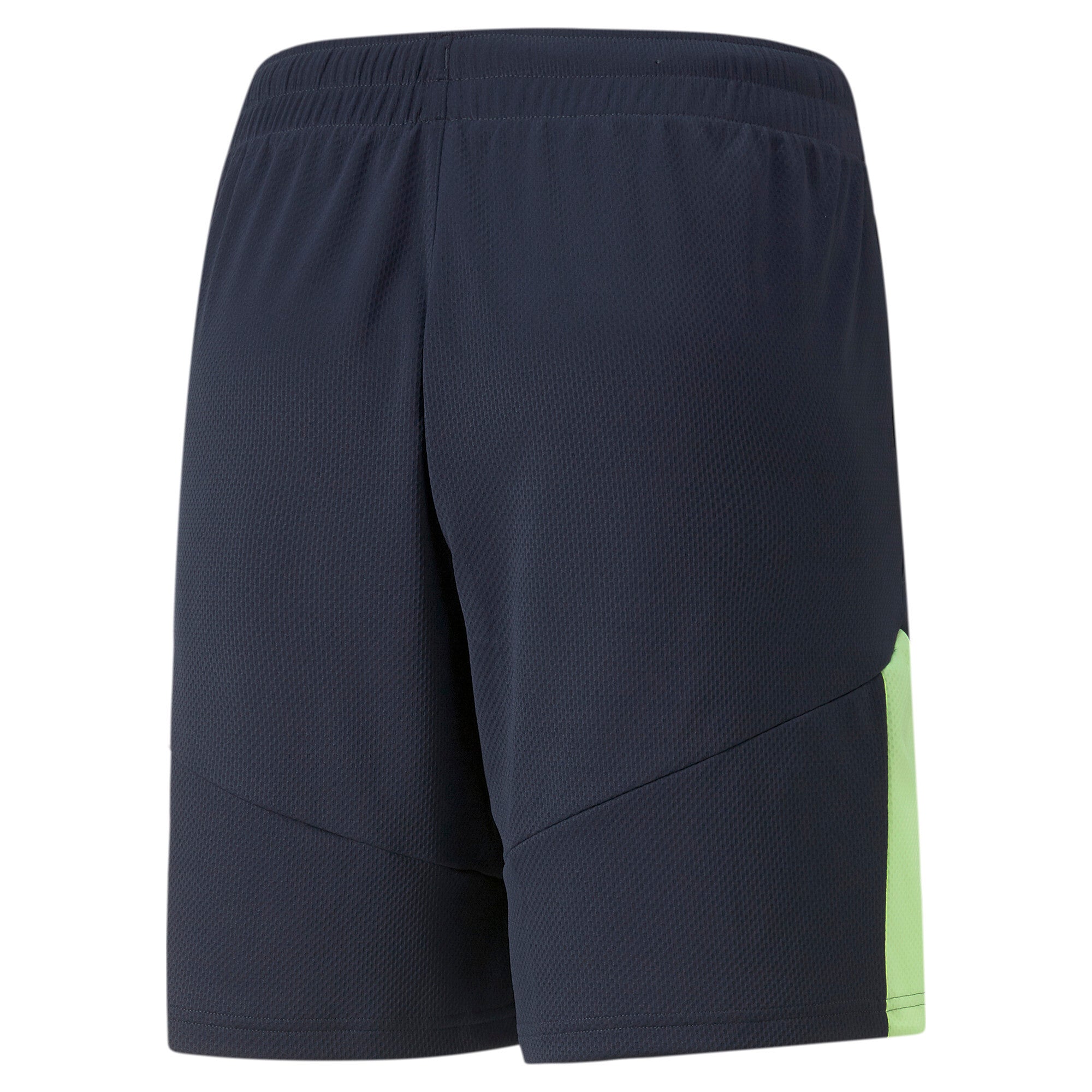 Puma football individualfinal shorts in blue - Back View