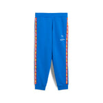 PUMA X HOT WHEELS™ sweatpants in light gray heather - team royal