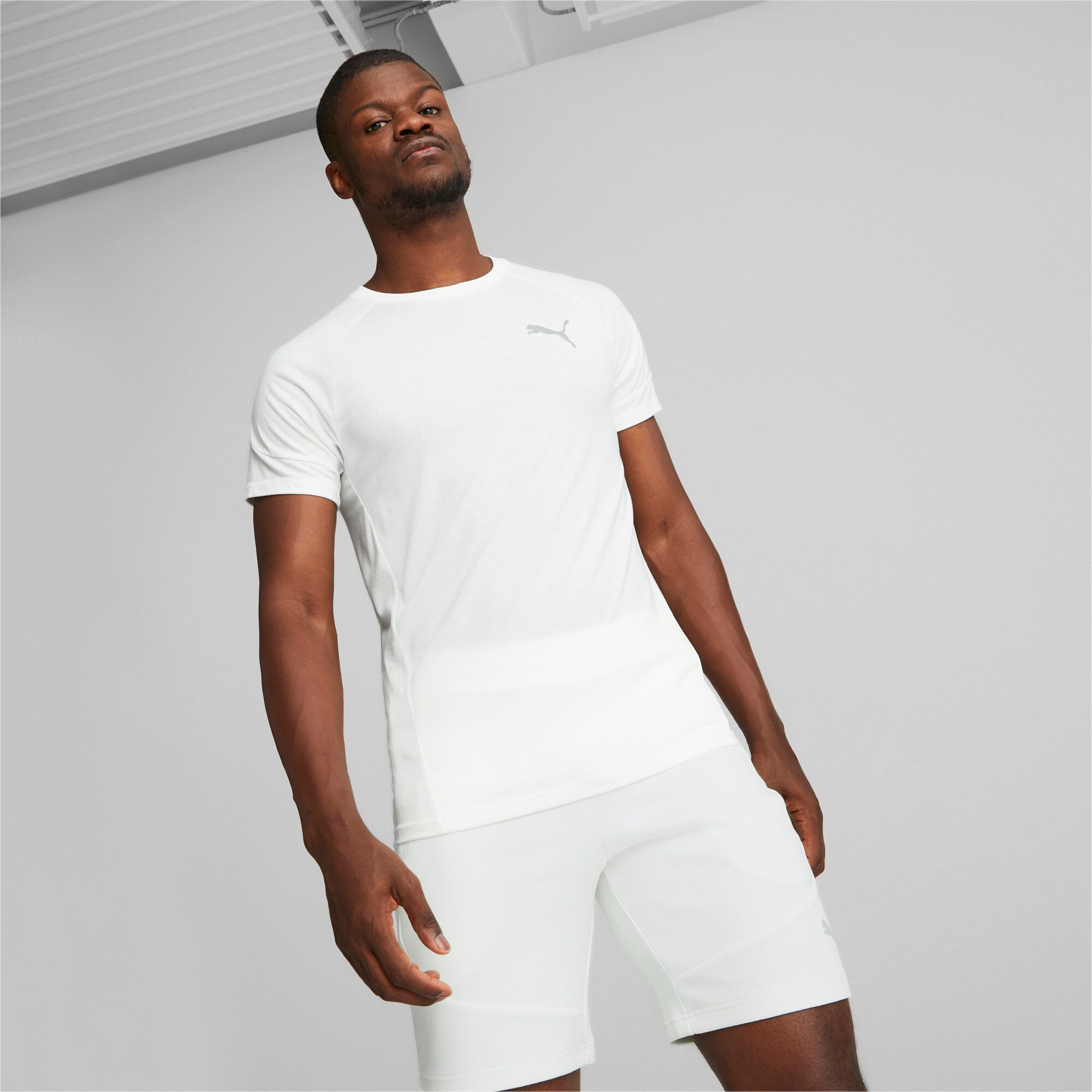 Puma evostripe tee in gray - Model Shot 01