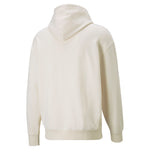 Puma downtown logo hoodie men in assorted colours - Back View