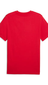 PUMA AC milan ftblculture tee men in red and black — back view