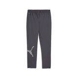 Puma train all day big logo woven pants in galactic gray - Back View