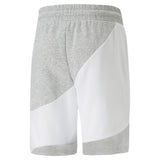 Puma power cat shorts men in gray - Back View