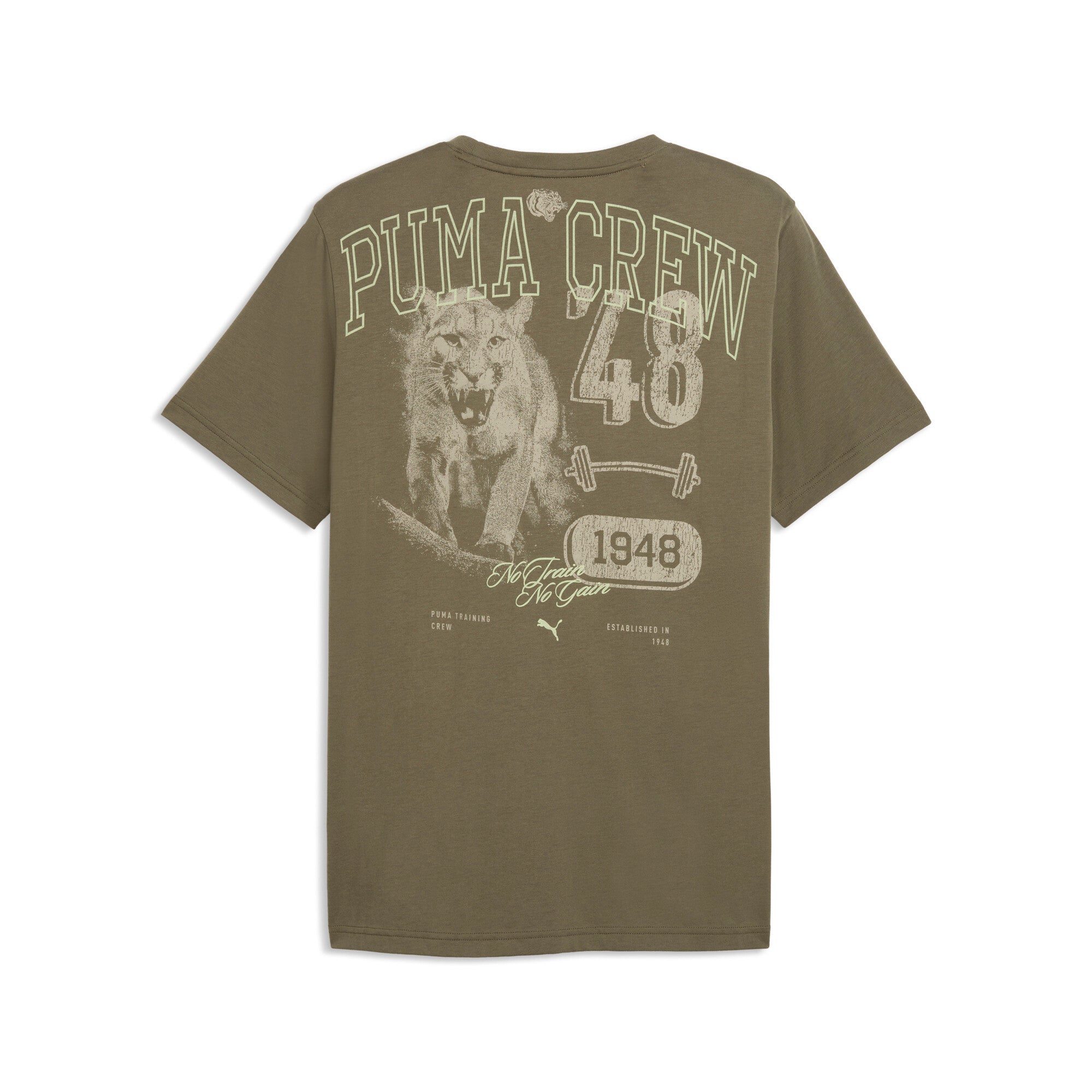 PUMA graphics training tee men (528530) in loden green — back view
