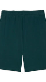PUMA manchester city KING sweat shorts men in green and blue — back view