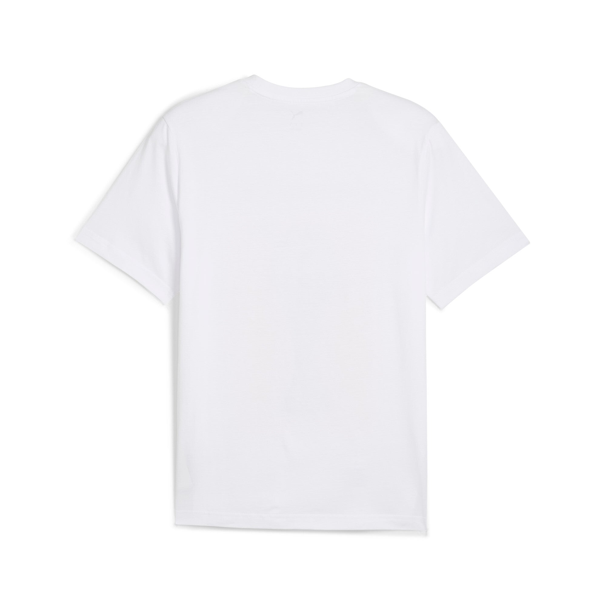 PUMA TotalEnergies CAF Africa Cup of Nations 2025 country tee in white and sport green - Back View