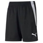 Puma football teamliga shorts in black - Front View
