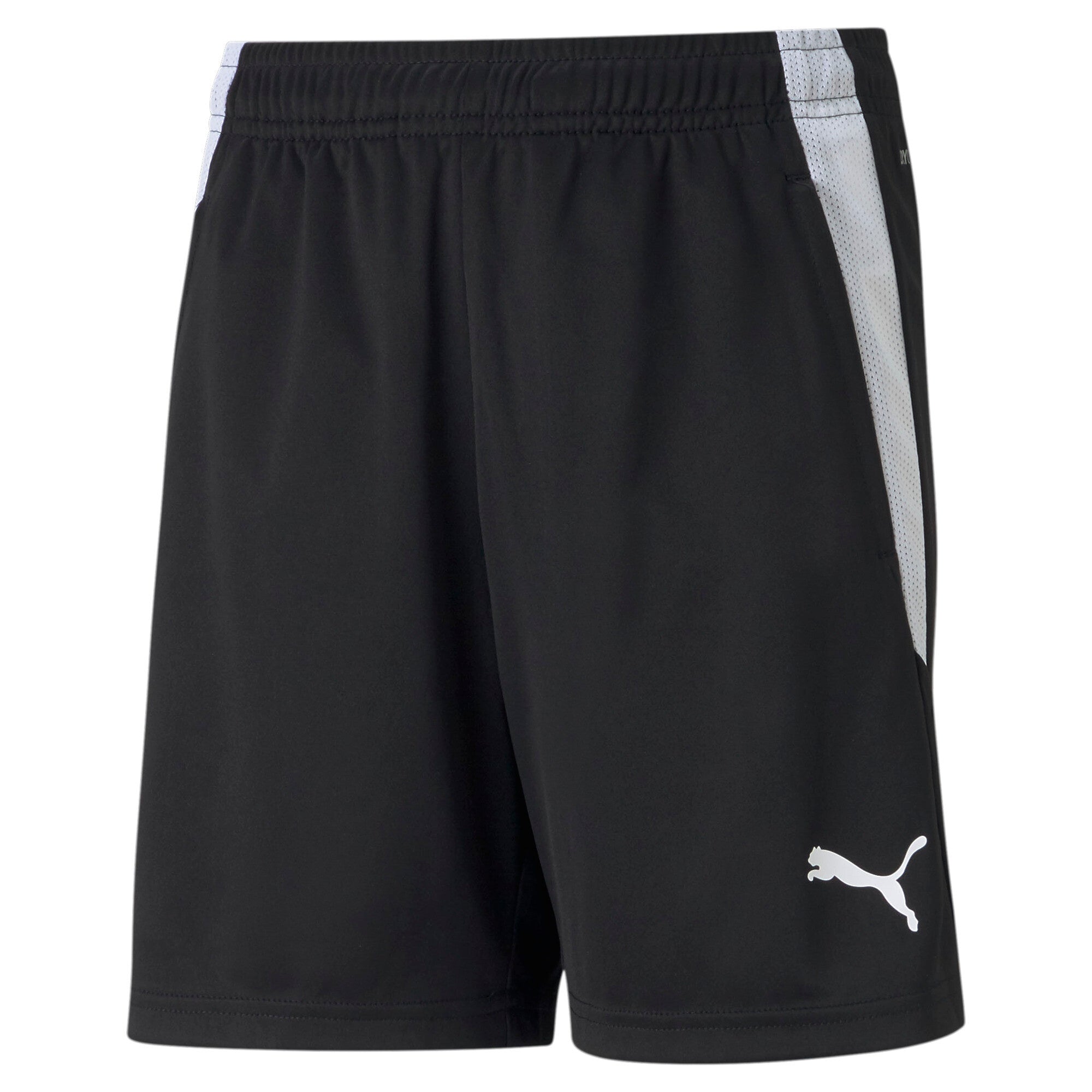 Puma football teamliga shorts in black - Front View