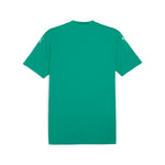 Puma teamGLORY football jersey - Back View