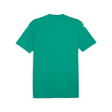 Puma teamGLORY football jersey - Back View