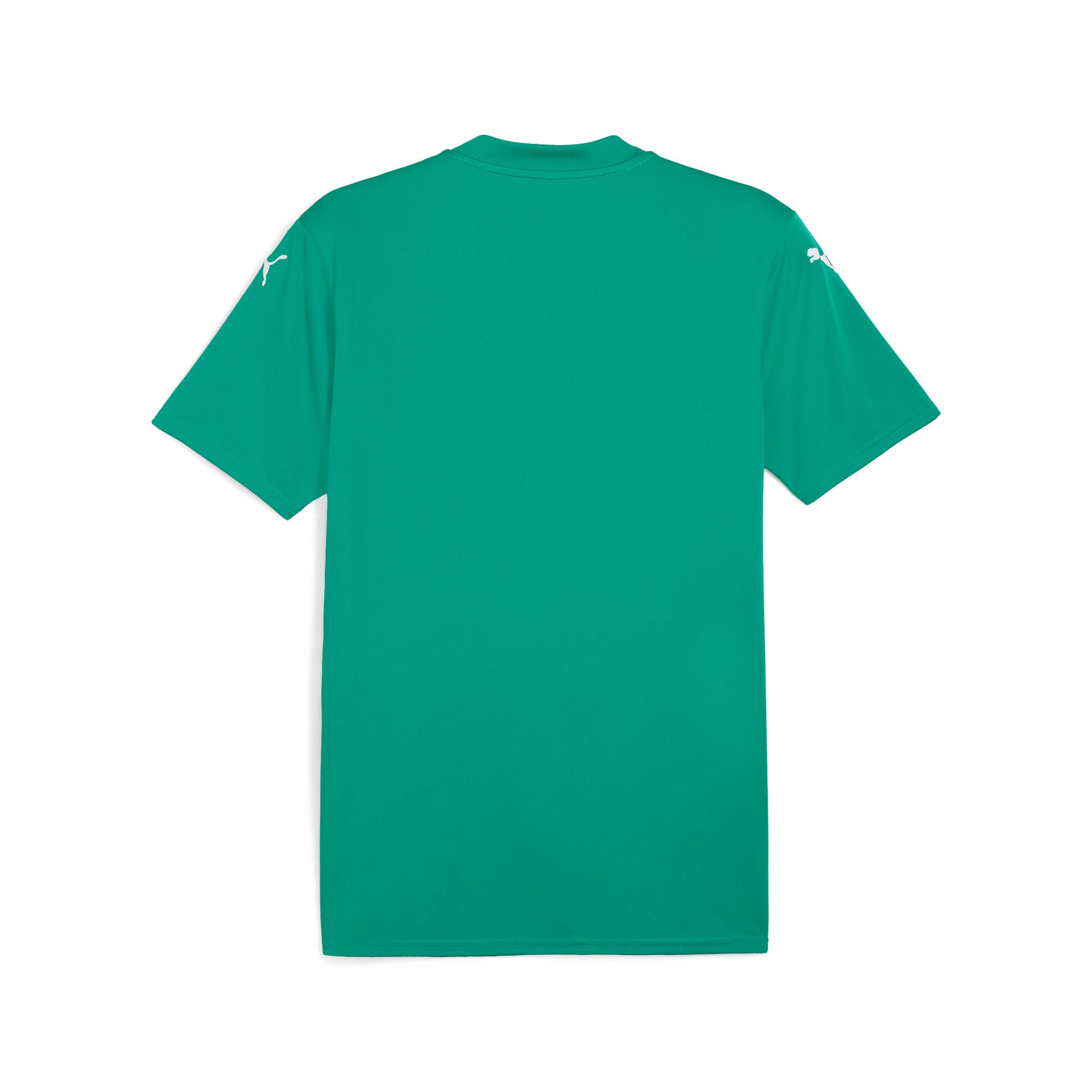 Puma teamGLORY football jersey - Back View