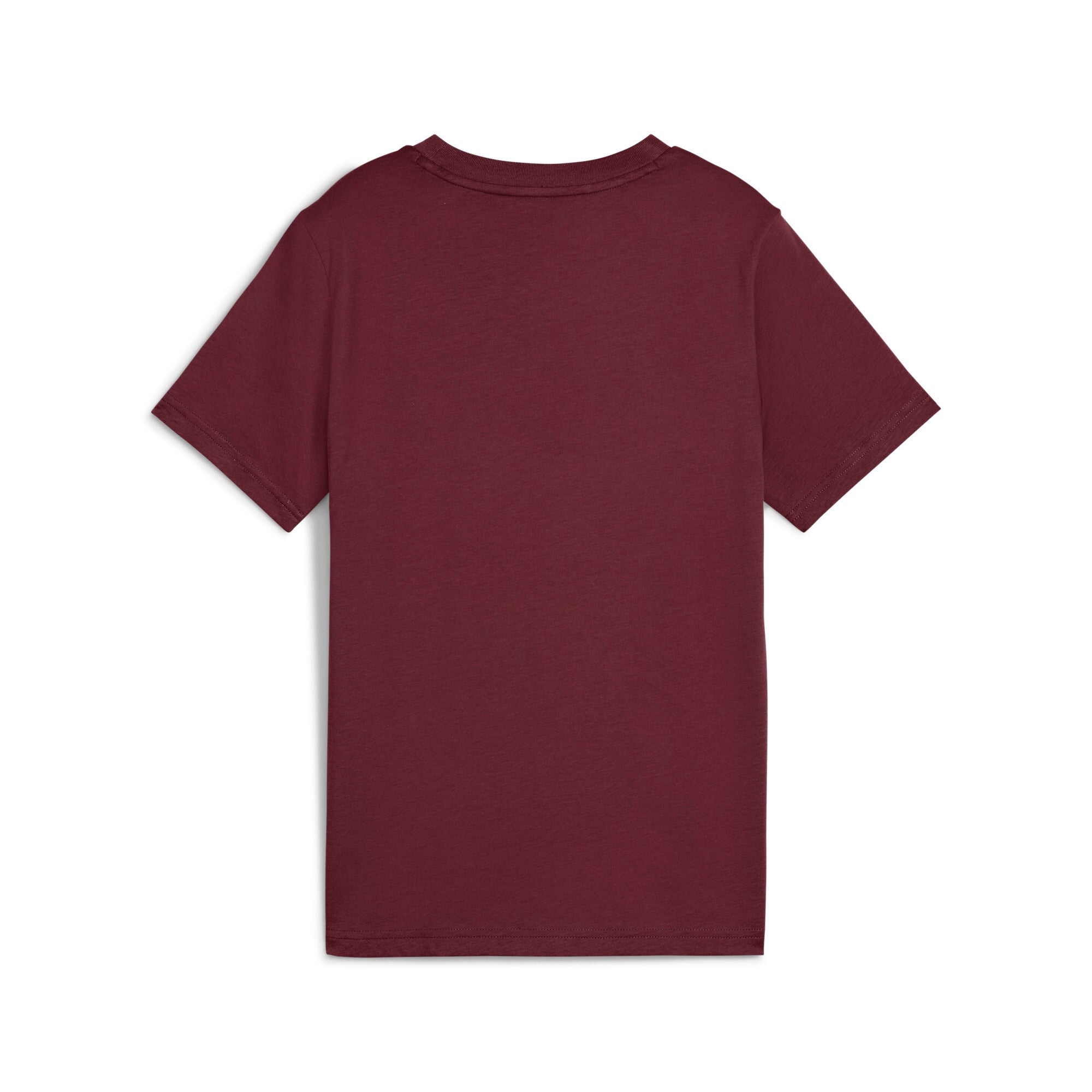 PUMA ESSENTIALS colour no.1 logo tee in ruby shimmer - ruby shimmer
