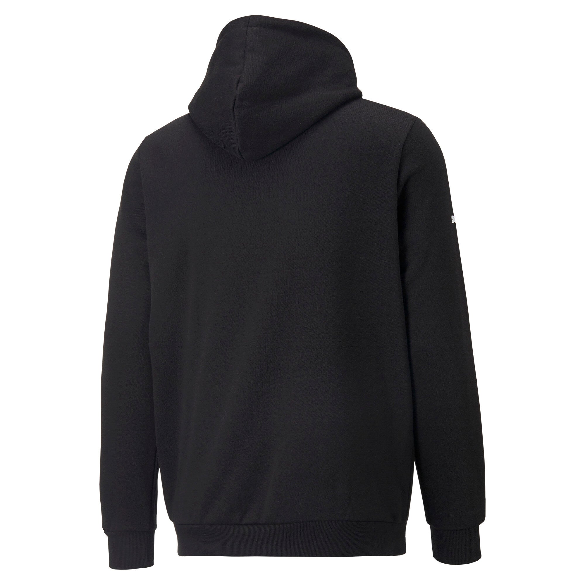 Puma BMW M motorsport essentials fleece hoodie in black - Back View