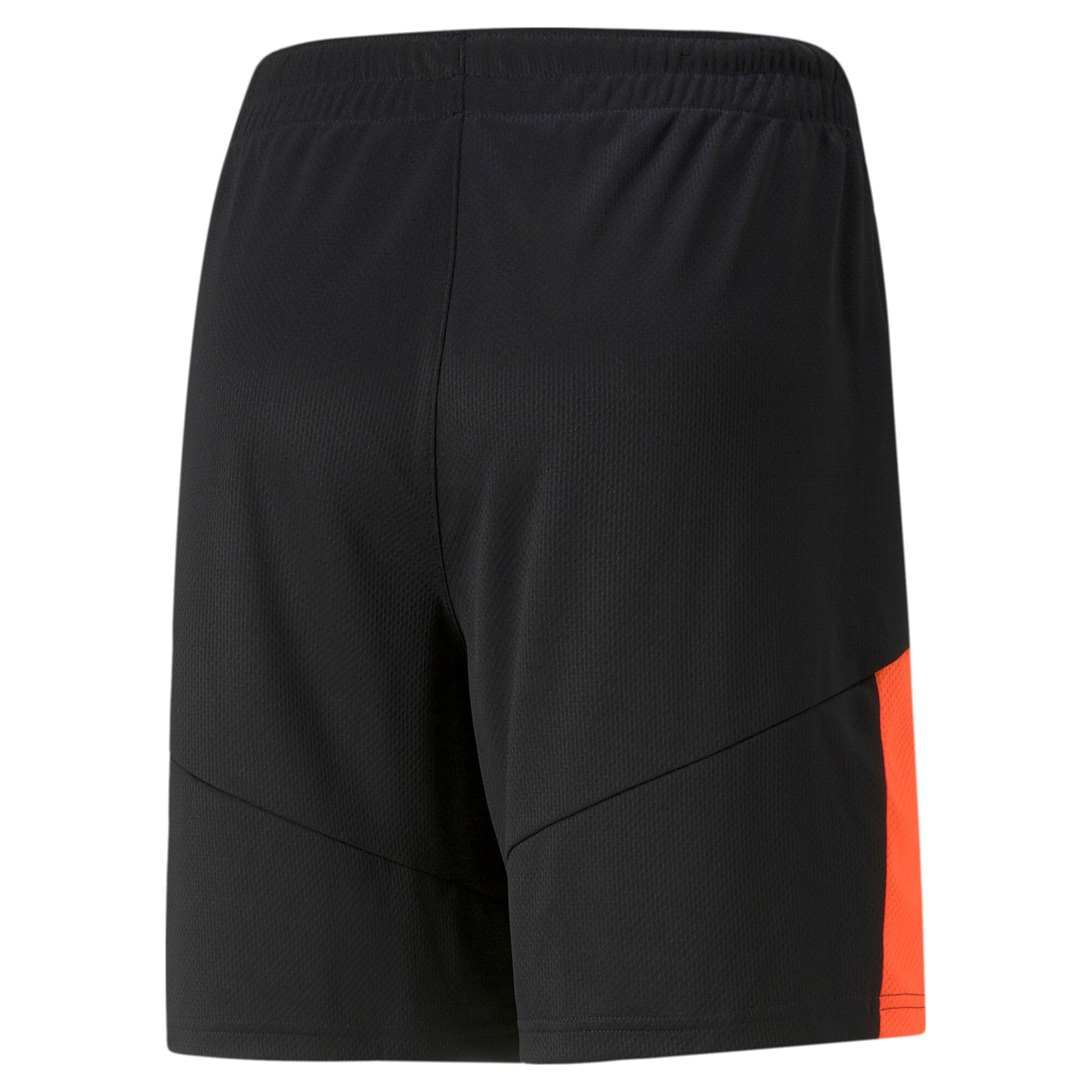 Puma football individualfinal shorts in blue - Back View