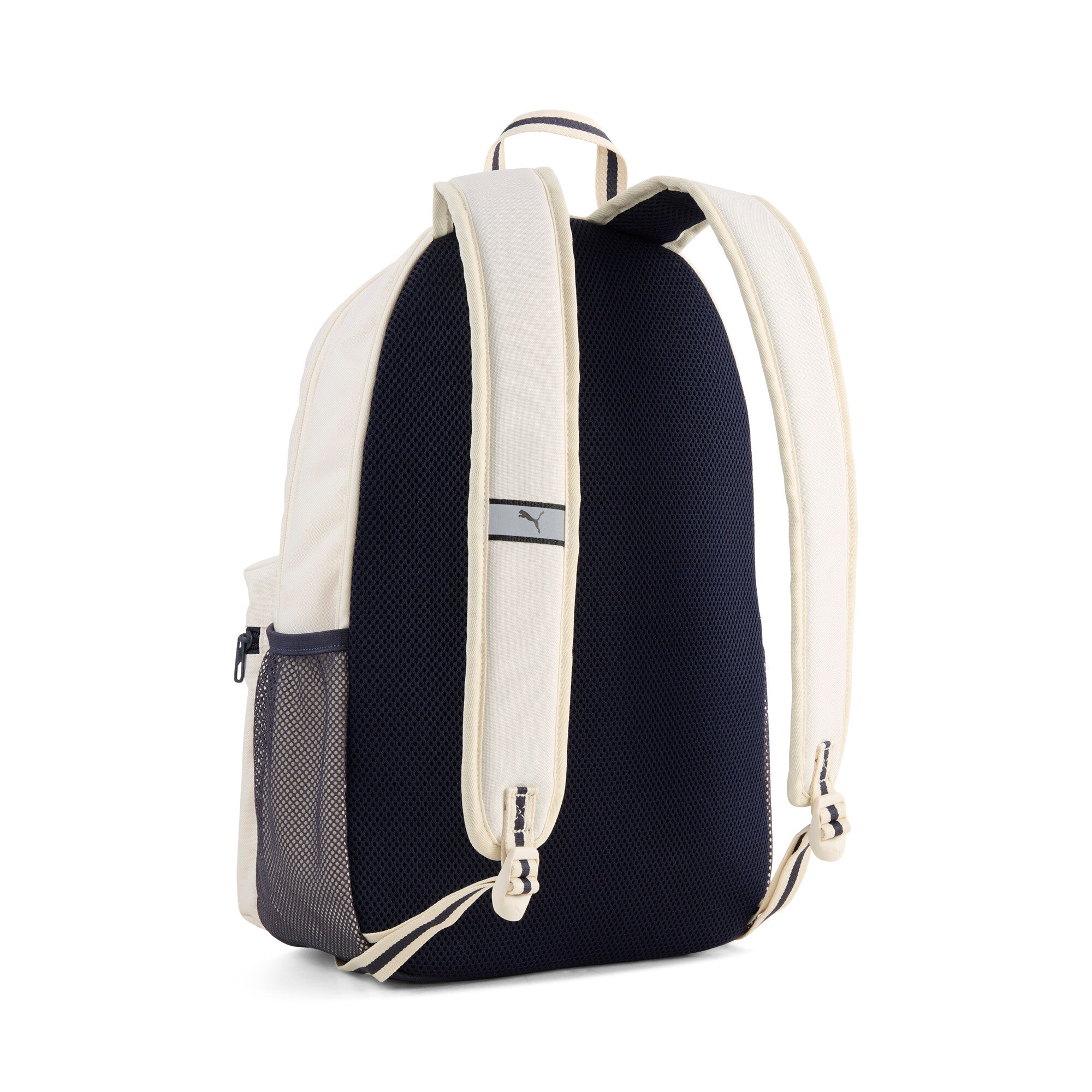 PUMA phase 22L class backpack in alpine snow — back view