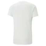 Puma evostripe tee in gray - Back View