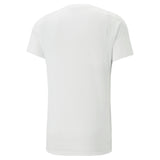 Puma evostripe tee in gray - Back View