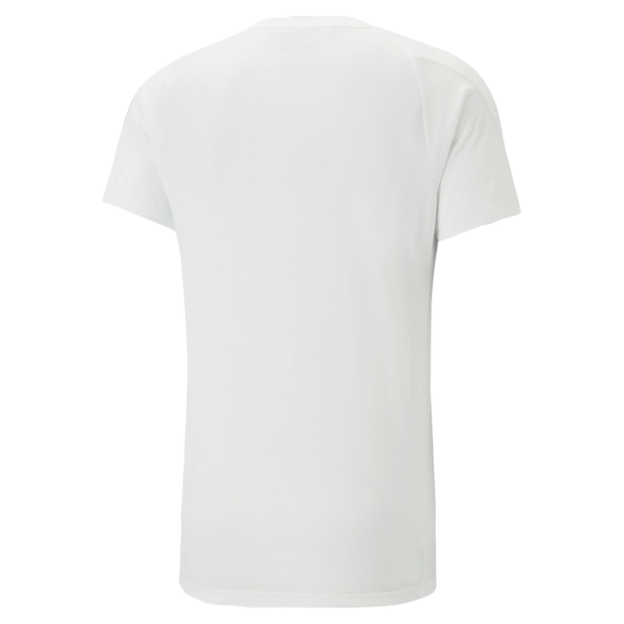 Puma evostripe tee in gray - Back View