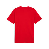 PUMA TotalEnergies CAF Africa Cup of Nations 2025 country tee in red and sport green - Back View