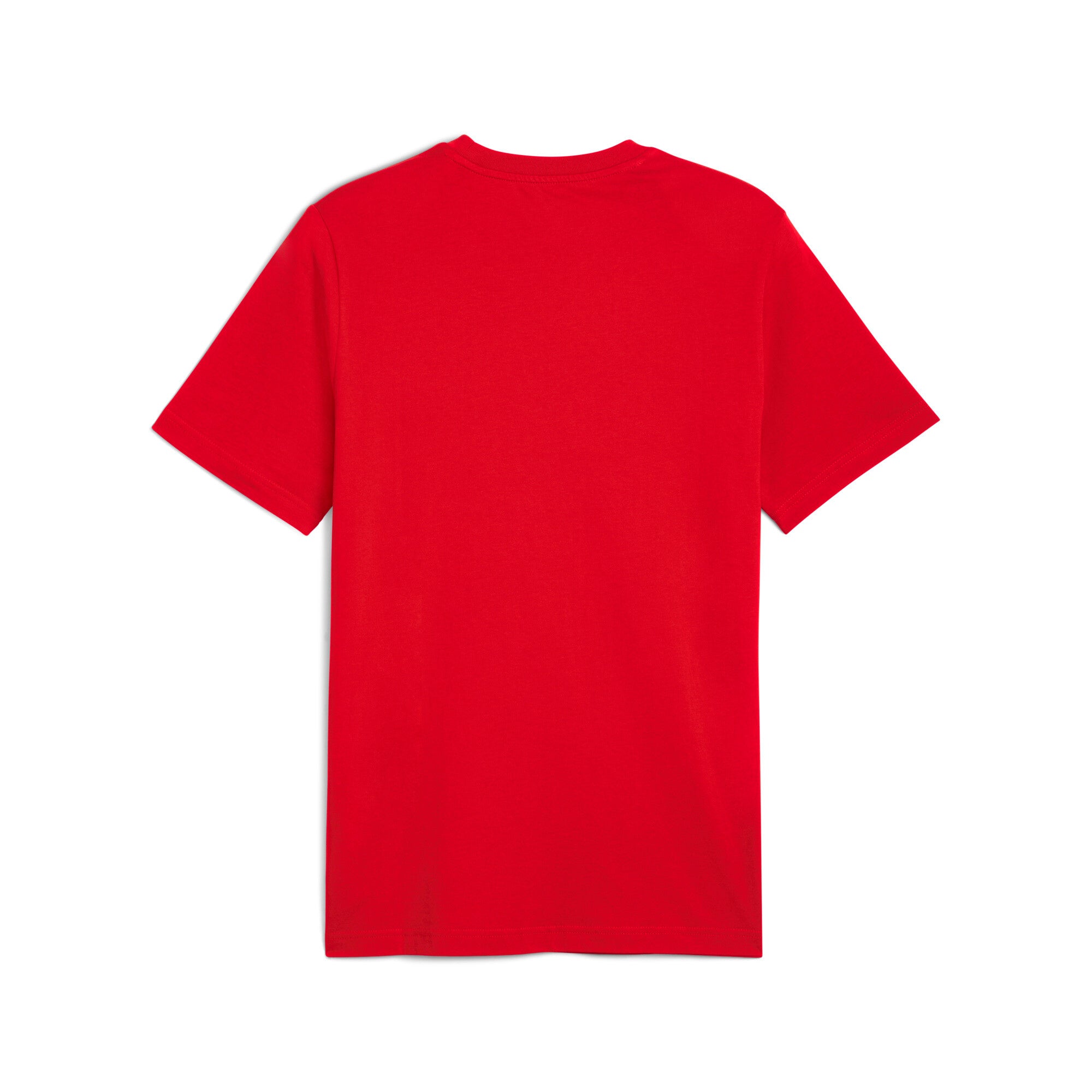 PUMA TotalEnergies CAF Africa Cup of Nations 2025 country tee in red and sport green - Back View