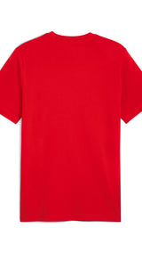 PUMA TotalEnergies CAF Africa Cup of Nations 2025 country tee in red and sport green - Back View