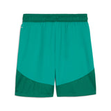 Puma teamFINAL football shorts - Back View