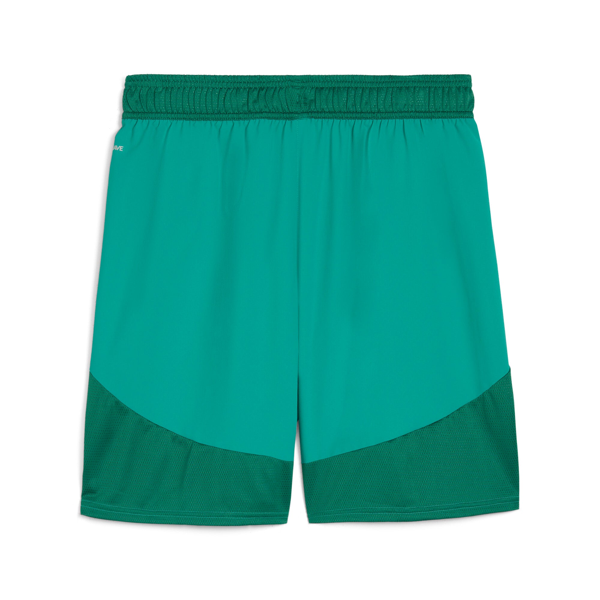 Puma teamFINAL football shorts - Back View
