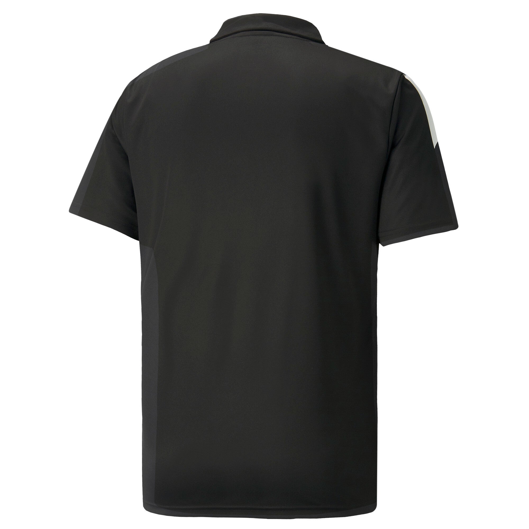 Puma football teamliga sideline polo shirt in blue - Back View