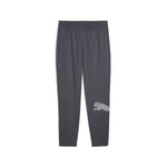 Puma train all day big logo woven pants in galactic gray - Front View