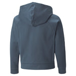 Puma modern sports full-zip hoodie youth in gray - Back View