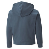 Puma modern sports full-zip hoodie youth in gray - Back View