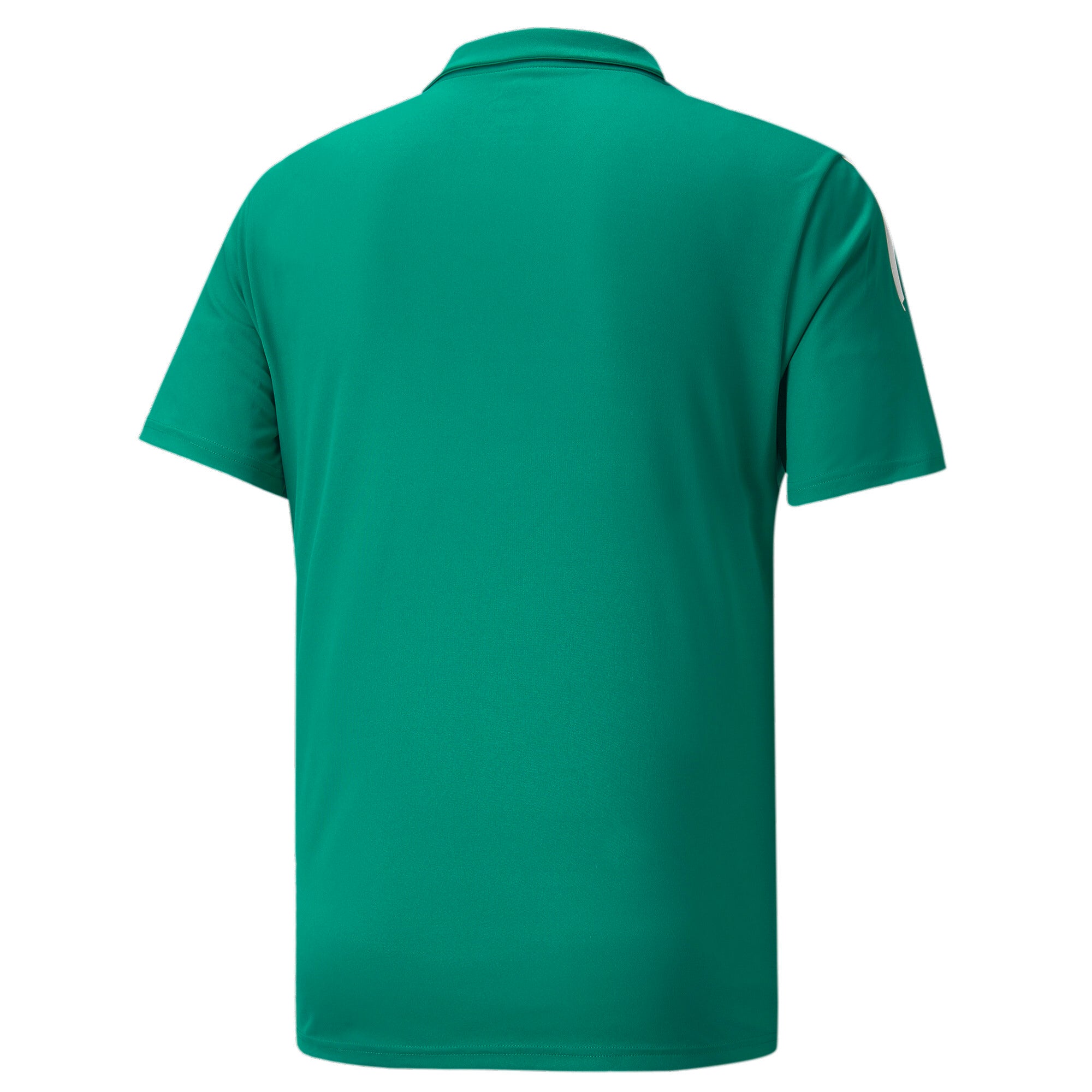 Puma football teamliga sideline polo shirt in blue - Back View