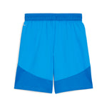 Puma teamFINAL football shorts - Back View