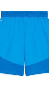 Puma teamFINAL football shorts - Back View